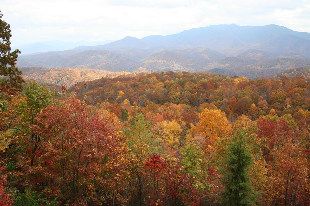 The Foxtrot Bed And Breakfast Gatlinburg Buitenkant foto